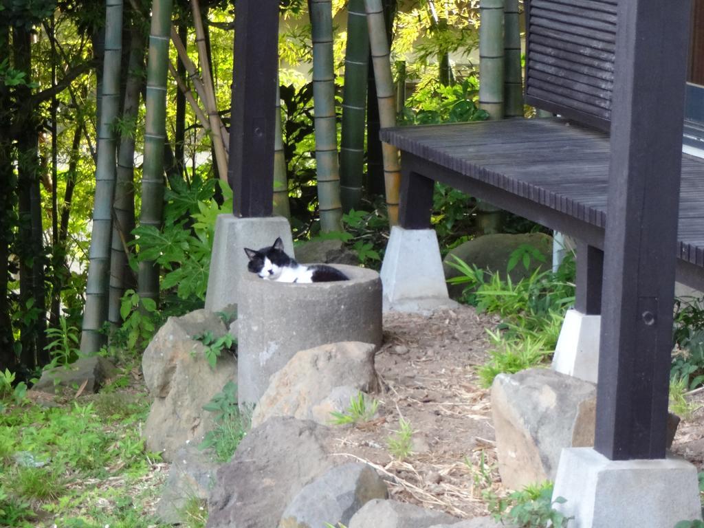 Ryokan Izuna Atami  Exteriör bild